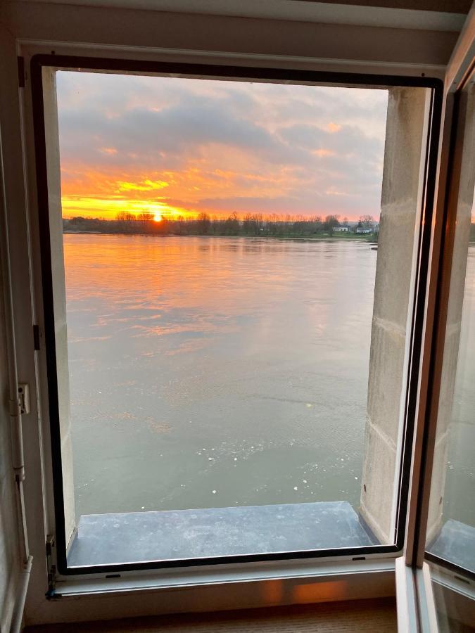Gite Loirizon Vue Loire 4 Personnes Ingrandes  Екстер'єр фото