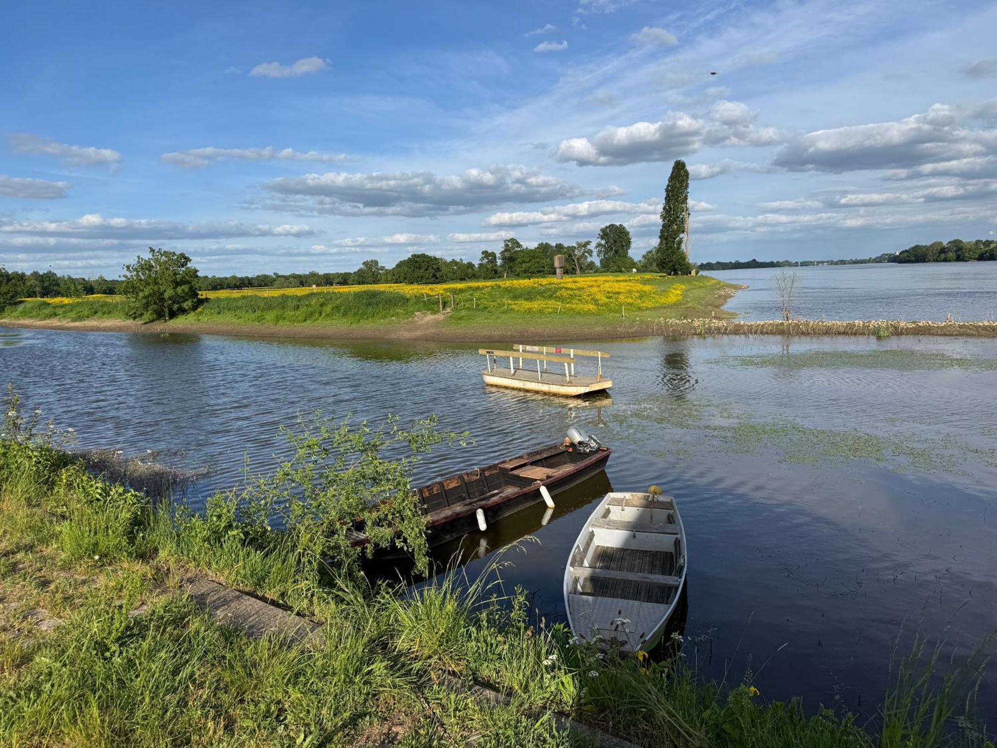 Gite Loirizon Vue Loire 4 Personnes Ingrandes  Екстер'єр фото